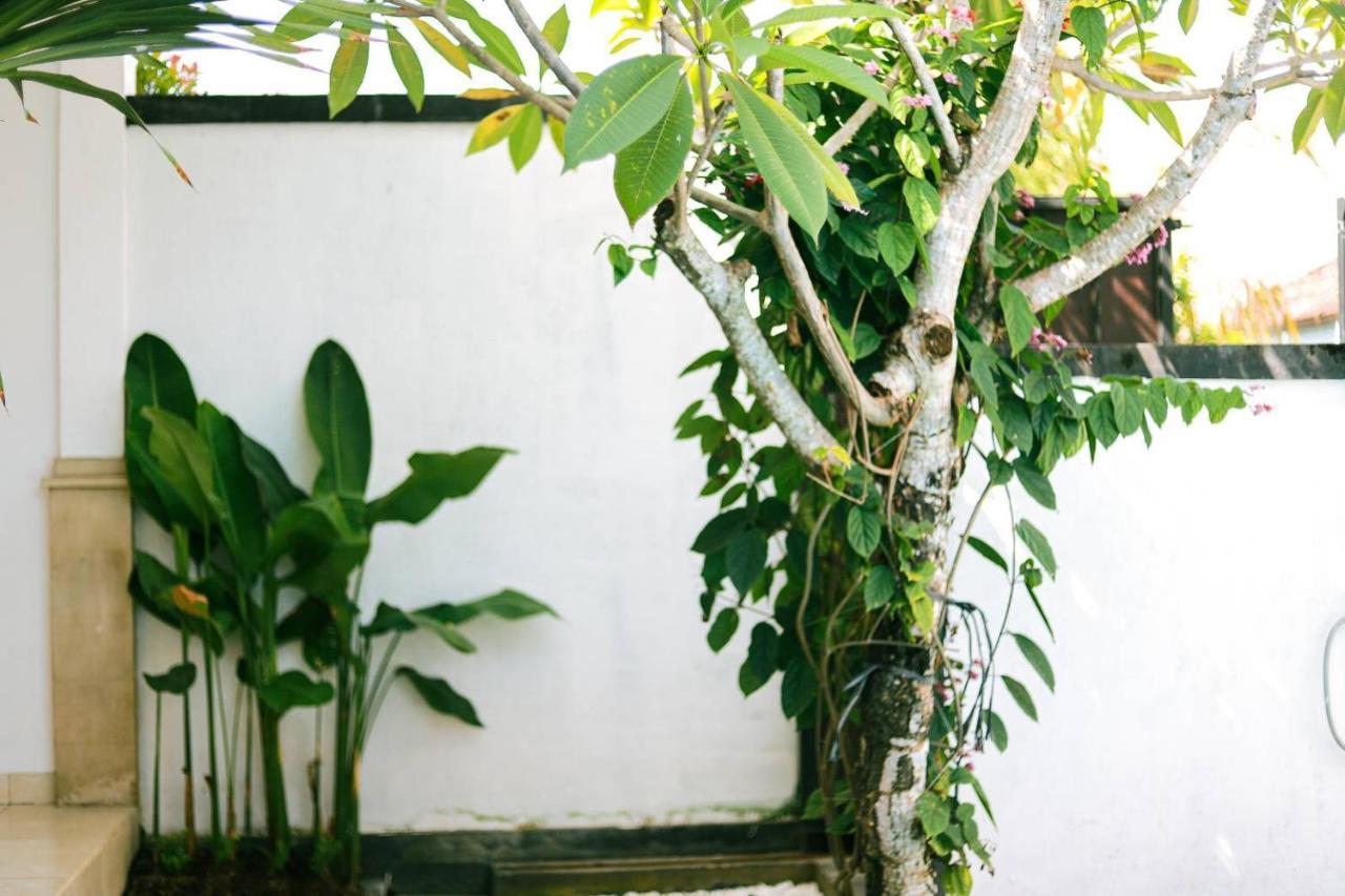Adi Guest House Canggu Extérieur photo