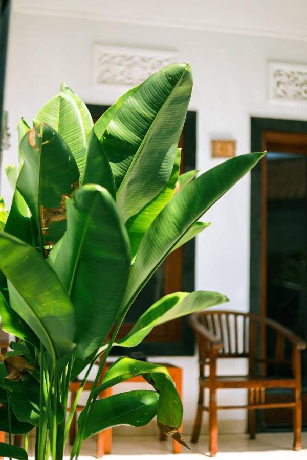 Adi Guest House Canggu Extérieur photo